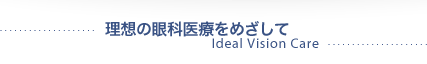 z̊ȈÂ߂ā@Ideal Vision Care